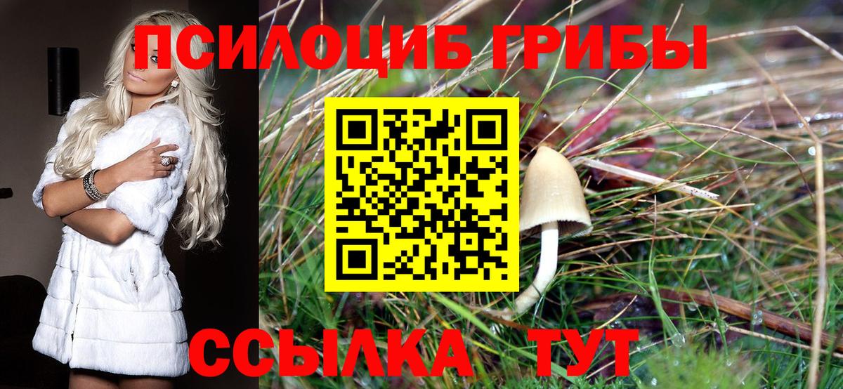 Псилоцибиновые грибы MAGIC MUSHROOMS Красный Сулин